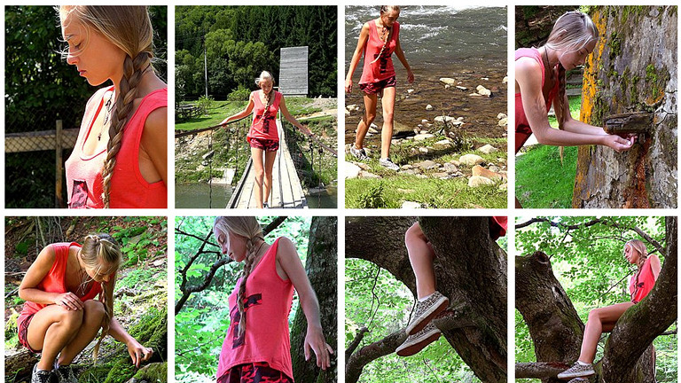 Series: Walking through the Woods