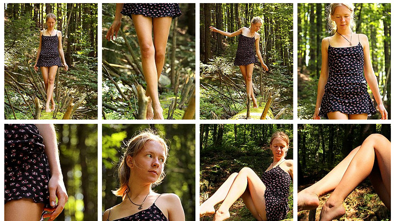 Series: Forest Flower