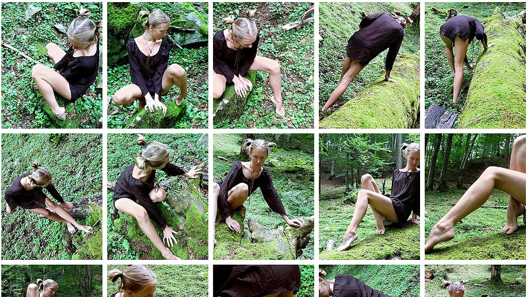 Series: Foresty Miracle