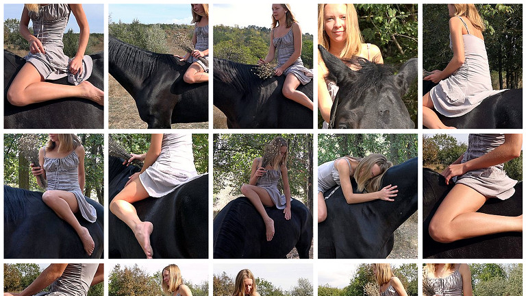 Series: Black Horse